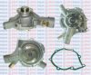 AQUAPLUS 85-5695 Water Pump